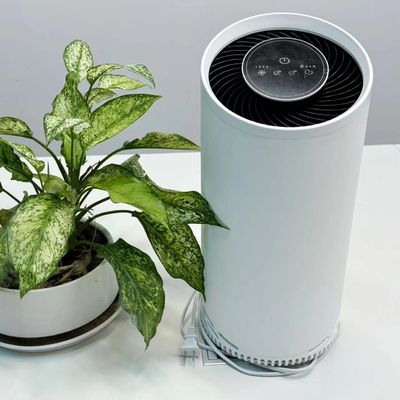 সক্রিয় কার্বন ফিল্টার সহ HEPA কোল্ড প্লাজমা এয়ার পিউরিফায়ার 36W সর্বোচ্চ শক্তি 220V ভোল্টেজ