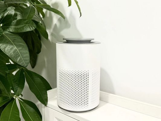 HC10 নীরব অপারেশন এবং কম শক্তি খরচ সঙ্গে তামাক ধোঁয়া জন্য পোর্টেবল বায়ু পরিষ্কারকারী