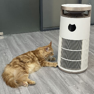 VDETTE HP01 ওজোন HEPA এয়ার পিউরিফায়ার টাইমার সহ ২২০V সাদা