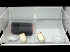 AS03 প্লাজমা বায়ু নির্বীজনকারী_রুটির সংরক্ষণ পরীক্ষা